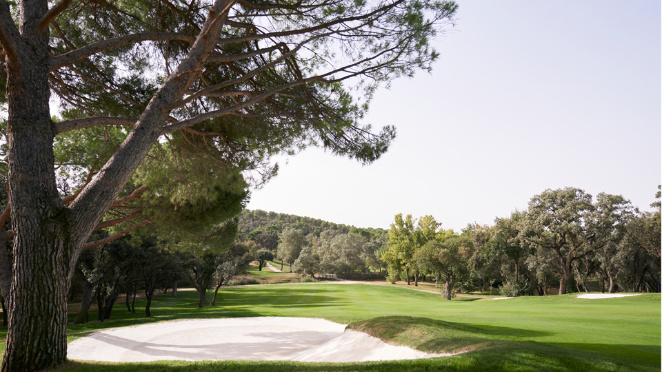 “El campo está presentado en las mejores condiciones de siempre”