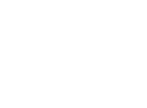 Logo Fortinet