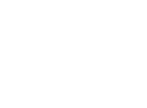 Logo BMW Mini