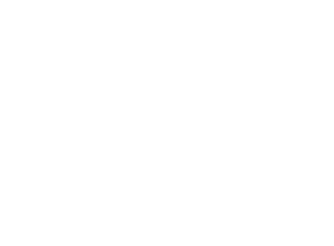 Logo Peninsula Energy Flowing